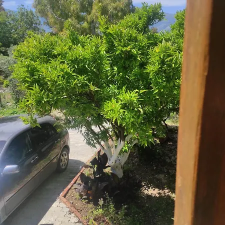 Portokallja بيت ضيافة Radhimë